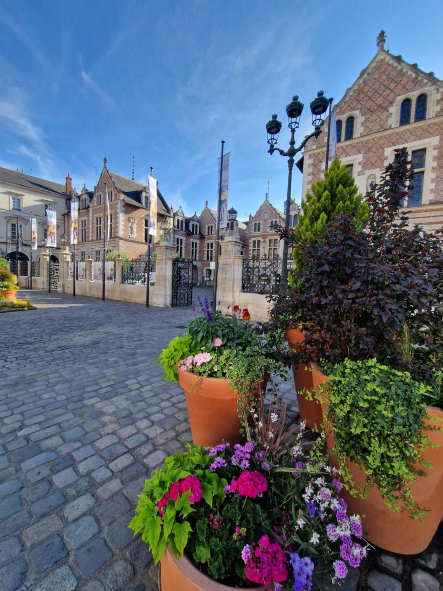 Bnb L'Orleanais Hyper Centre D'Orleans Proche Gare Parking Luaran gambar